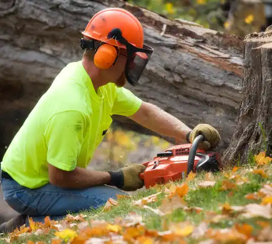 tree services Elephant Butte